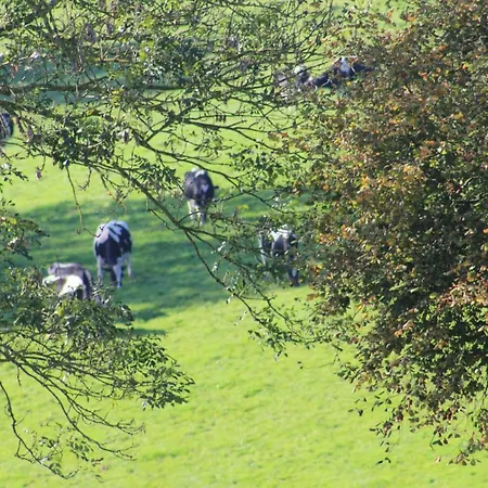 Hotell Les Goubelins *