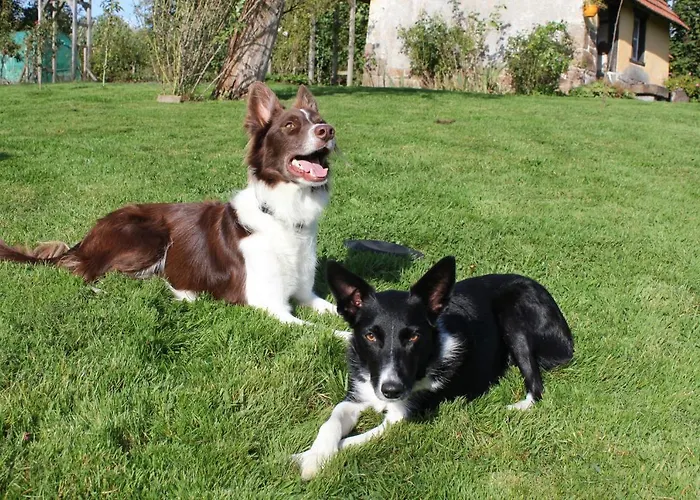 Hotel Les Goubelins *