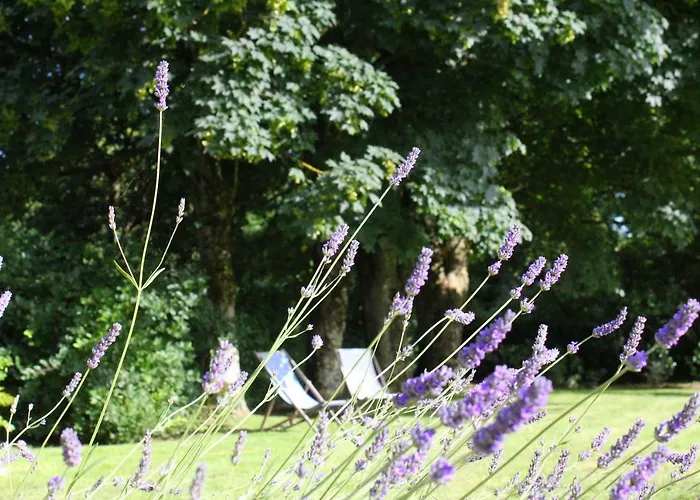 Les Goubelins Hotel *