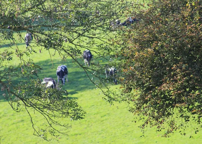Hotel Les Goubelins *